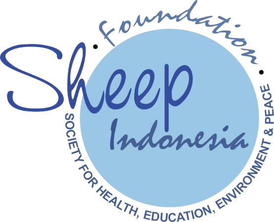 Sheep Indonesia